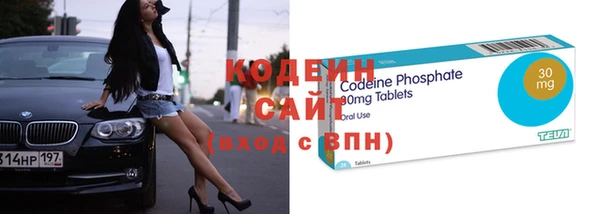 прущий лед Богданович