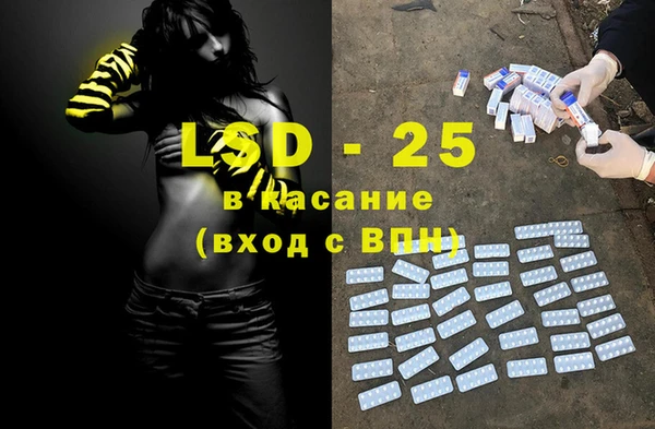 шишки Горняк