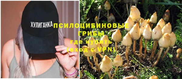 прущий лед Бугульма