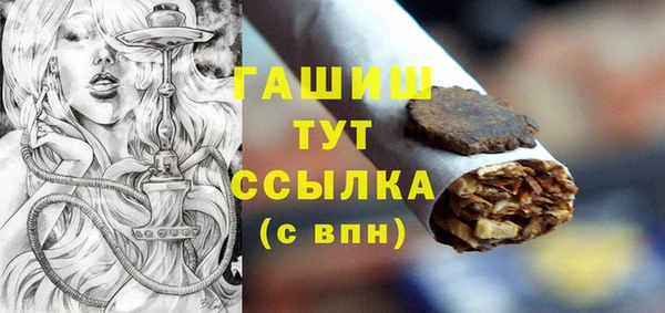 твердый Гусев