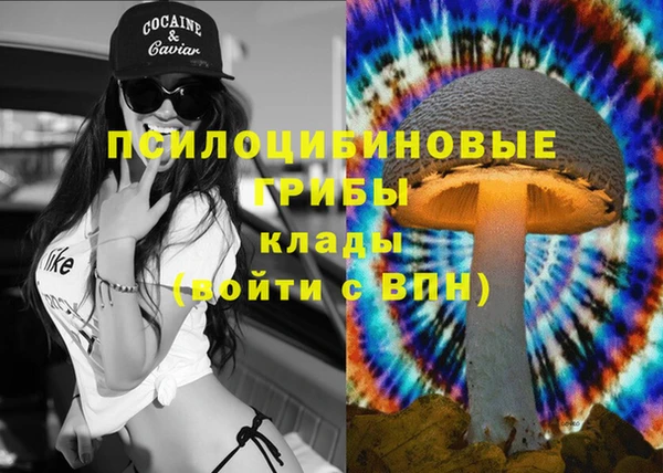 прущий лед Богданович