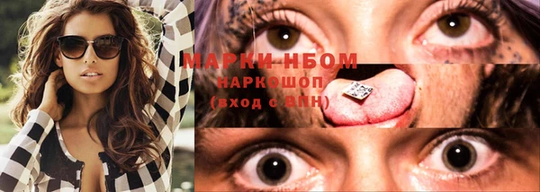 прущий лед Богданович