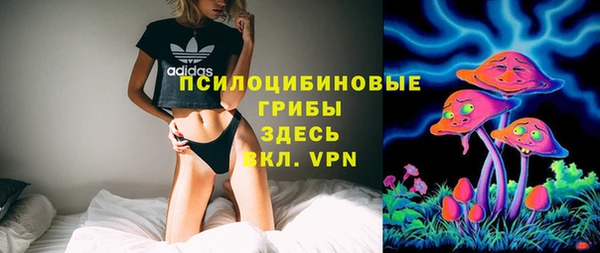 молекула духа Гусиноозёрск