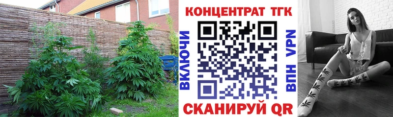 купить  цена  shop какой сайт  ТГК концентрат  Жуковка 