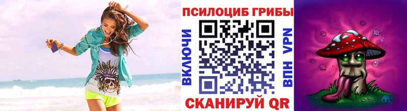 Галлюциногенные грибы Magic Shrooms  цена   Жуковка 